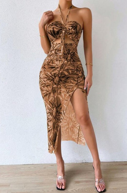 Women Bodycon Multicolor Dress